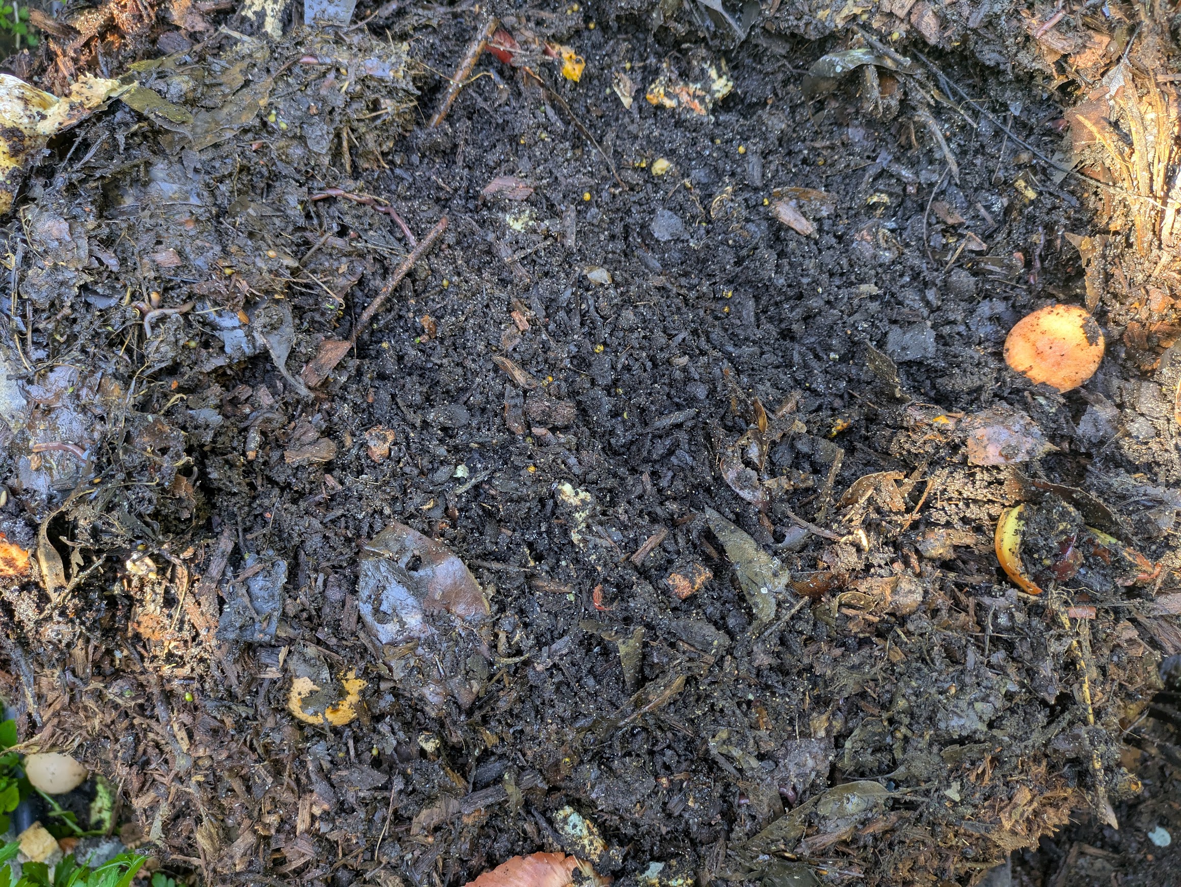 Make your own compost
