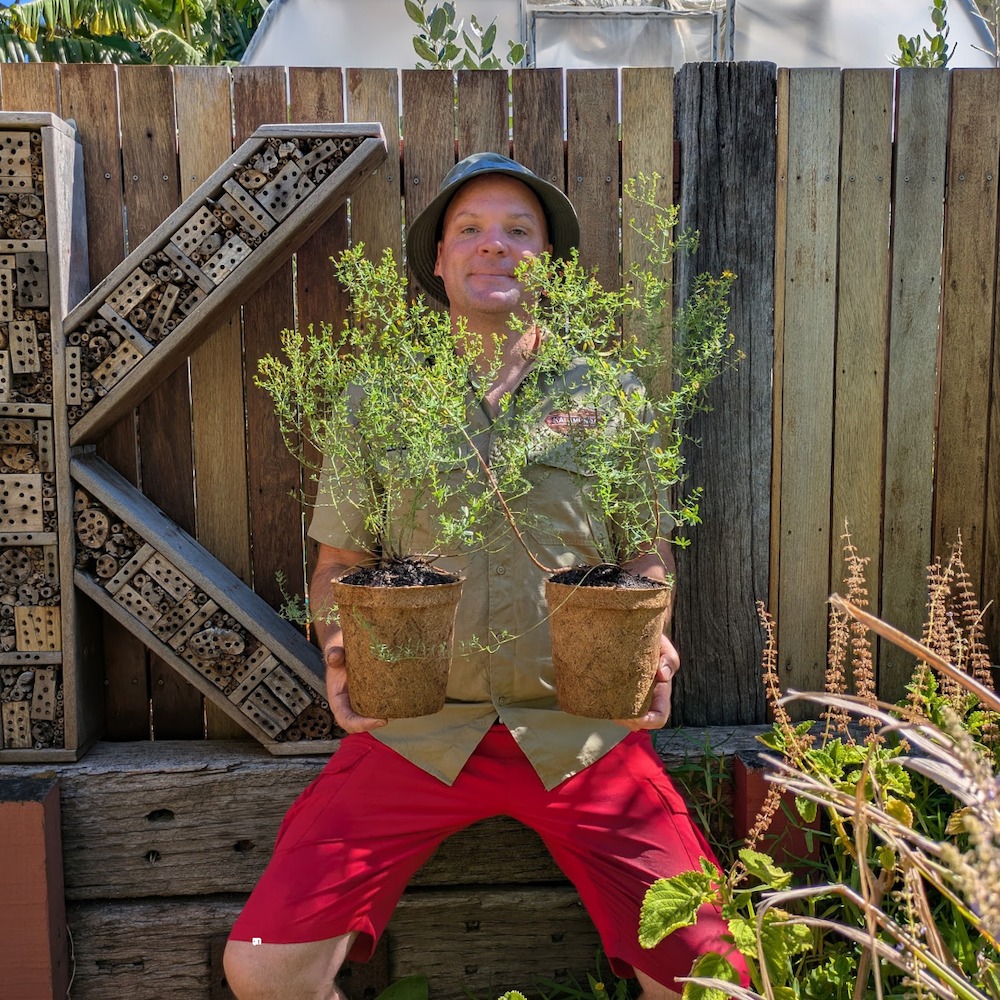 Me and St John's Wort